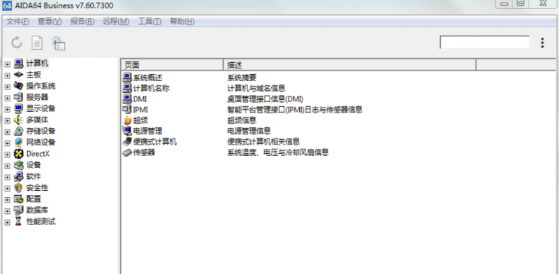 AIDA64_Bussiness-7.6.7300绿色便携版(图1)