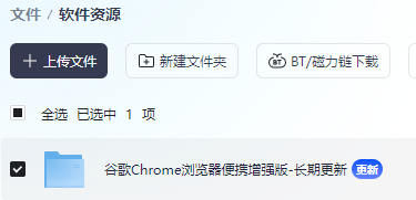 Google Chrome稳定版132.0.6834.