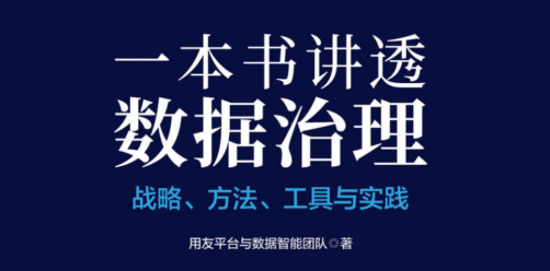 一本书讲透数据治理 战略、方法、工具与实践.pdf(图1)